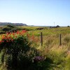 Отель Beautiful 2-bed Cottage in Isle of Mull, фото 19