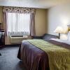 Отель Quality Inn & Suites, фото 4