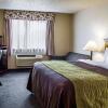 Отель Quality Inn & Suites, фото 26