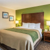 Отель Comfort Inn & Suites, фото 4