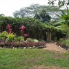 Отель Belize Botanic Gardens' Cottages and Jungle Guest House, фото 7