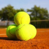Отель Tenis Korytnica, фото 6