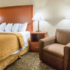 Отель Quality Inn Stadium Area, фото 2