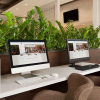 Отель Embassy Suites by Hilton San Antonio Brooks Hotel & Spa, фото 22