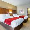 Отель Comfort Suites, фото 5