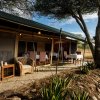 Отель Serengeti Woodlands Camp в Национальном парке Серенгети