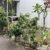 Отель OYO 93584 Rukotel, фото 9