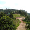 Отель Bwindi Panorama Resort, фото 9