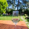 Отель Weinhotel Ayler Kupp, фото 9