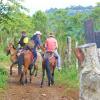 Отель Finca el Cielo, фото 19