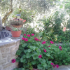 Отель Poggio La Grognola, фото 7