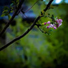 Отель Wenying Hotel, фото 15