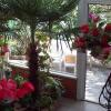 Гостиница Teplaya Balka, фото 8