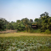 Отель Pugdundee Safaris- Tree House Hideaway, фото 15