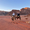 Отель Wadi Rum Camp, фото 10