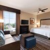 Отель Homewood Suites by Hilton North Houston/Spring, фото 15