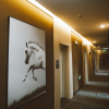 Отель Junyi Hotel Chain (Jingchuan Jingzhou Street Store), фото 5