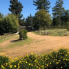 Отель Cabaña en Tunquén, bosque, piscina y vista al mar, фото 8