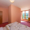 Отель Pension Modřín, фото 4