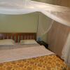 Отель Antonio's, фото 7