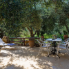 Отель The Olive House, фото 12