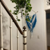 Отель Sunflower Hostel, фото 16