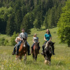 Отель Reiterbauernhof Maho, фото 15