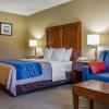 Отель Comfort Inn & Suites Jackson - West Bend, фото 3