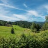 Отель Cozy Farmhouse in Herrischried with Meadows Nearby, фото 12