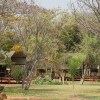 Отель Bongwe Guesthouse and Camp, фото 8