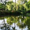 Отель Magpie 2 Hot Tub HuntersMoon-Warminster-Longleat-Wiltshire, фото 12