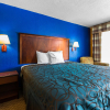 Отель Econo Lodge Inn & Suites, фото 33