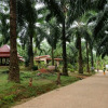 Отель Tonpalm Farmstay, фото 10