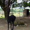 Отель Gîte Saligny-sur-Roudon, 3 pièces, 5 personnes - FR-1-489-121, фото 13