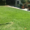 Отель The Winton Bed & Breakfast, фото 12