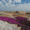 Отель The Oystercatchers Haven at Paternoster, фото 18