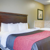 Отель Comfort Inn & Suites Russellville I-40, фото 23