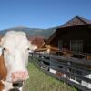 Отель Lovely Chalet in Sankt Margarethen im Lungau near Ski Lift, фото 3