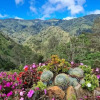 Отель Macho Mora Mountain Lodge, фото 20