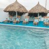Отель Ocean Front Villa in Aruba - Stunning Full House, фото 2