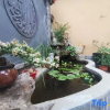 Отель Liuyuan Homestay (Qingzhou Ancient City Branch), фото 13
