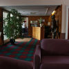 Отель Annandale Arms Hotel, фото 2