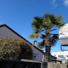 Отель Driftwood Motel, фото 1