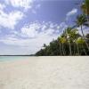 Отель Barcelo Bavaro Palace - Всё включено, фото 30