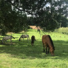 Отель La Ferme du Grand Frêne, фото 6