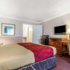 Отель Econo Lodge Castro Valley I-580, фото 21