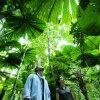 Отель Black Palm Cape Tribulation, фото 6