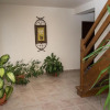 Отель Pensiunea Casa cu Flori, фото 12