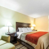 Отель Comfort Inn, фото 16