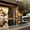 Отель Madikwe Hills Private Game Lodge, фото 10